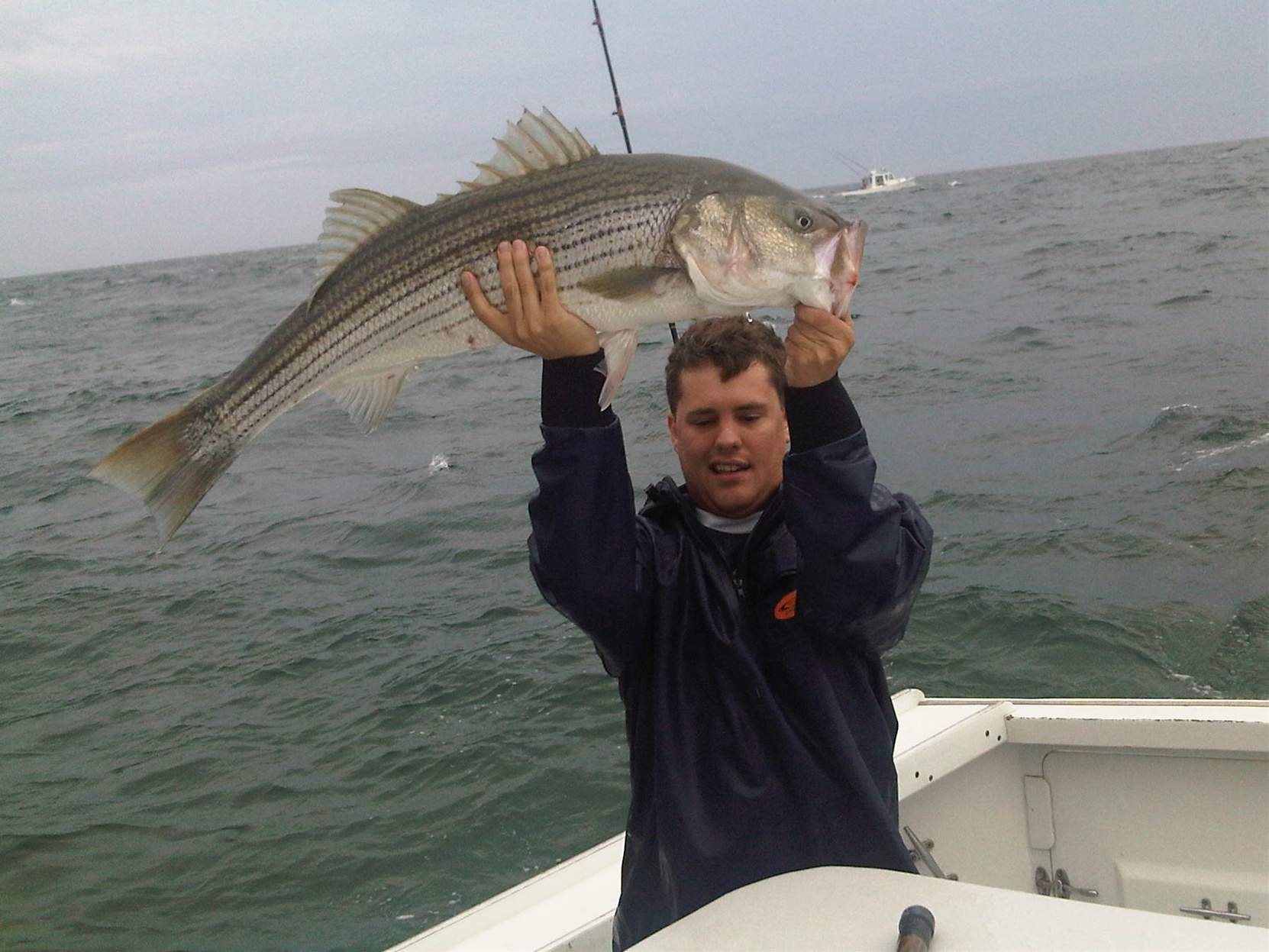 Big Cape Cod Fish