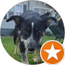 MsL Painting profile picture